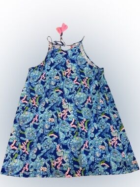 Lilly Pulitzer Swing Dress
